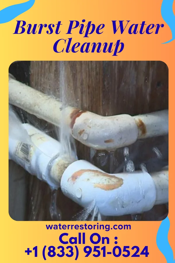 Burst Pipe Water Cleanup in Devola, OH