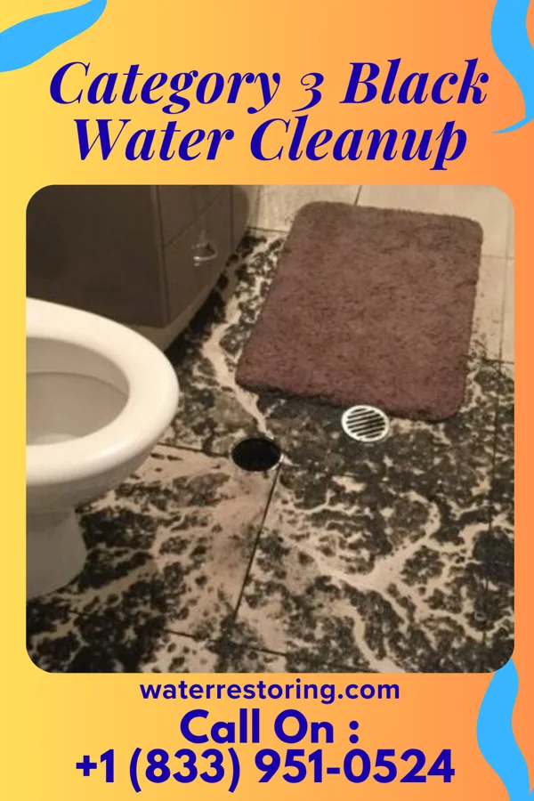 Category 3 Black Water Cleanup in Devola, OH