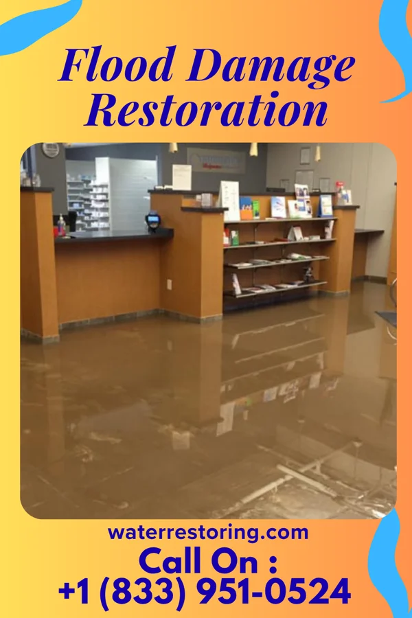 Flood Damage Restoration in Devola, OH