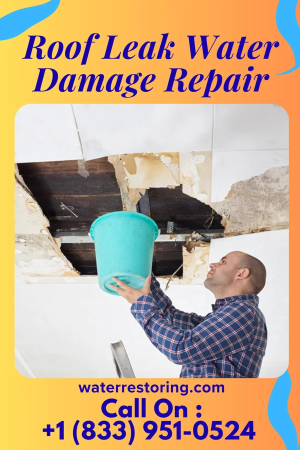 Roof Leak Water Damage Repair in Devola, OH