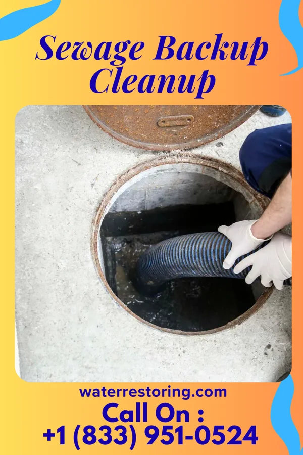 Sewage Backup Cleanup in Devola, OH